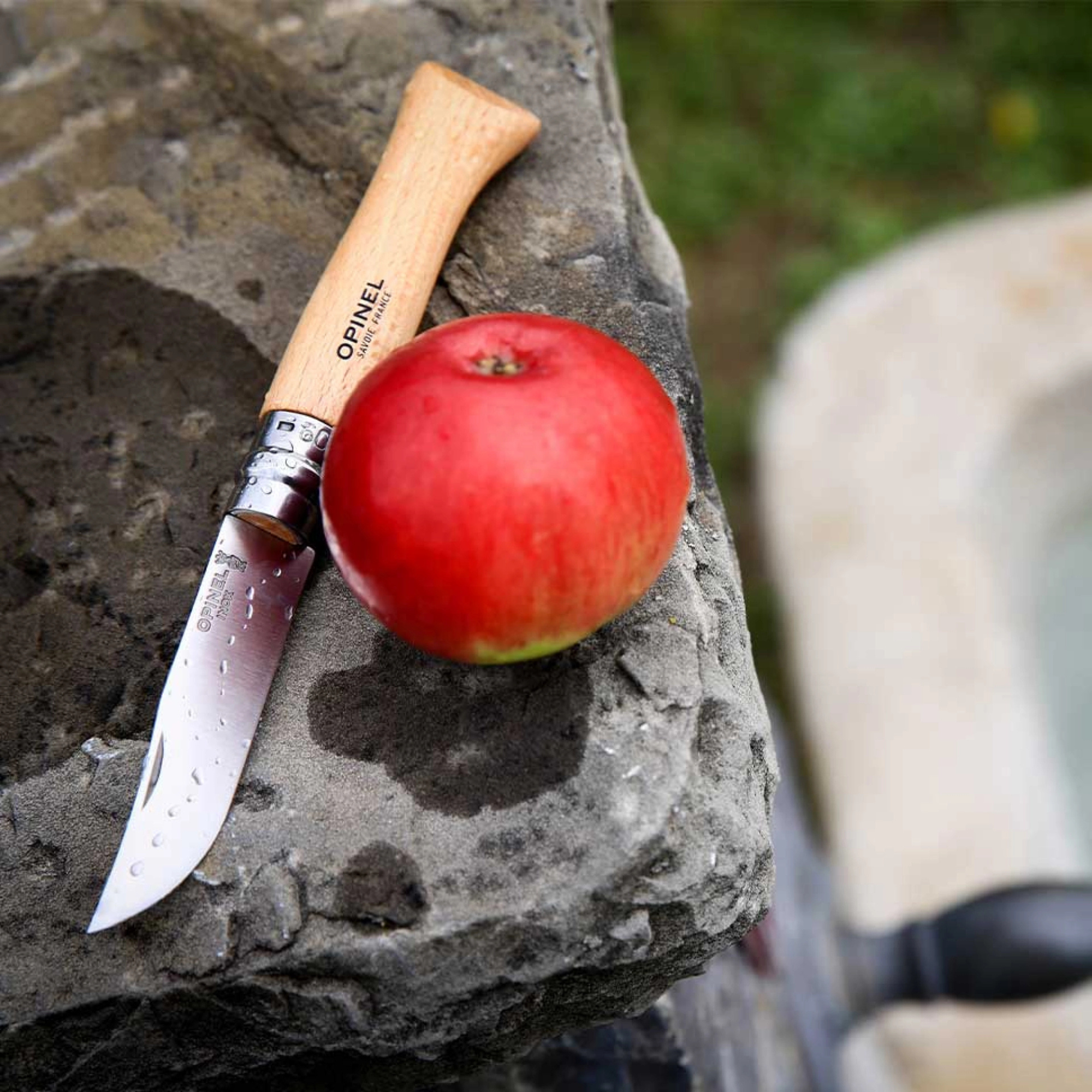 Opinel #9 Stainless Steel Folding Pocket Knife
