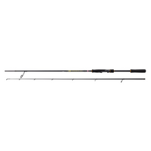 Load image into Gallery viewer, Penn 7.5ft/2.28m Wrath II Labrax 2 Section Spinning Rod (15-40g)
