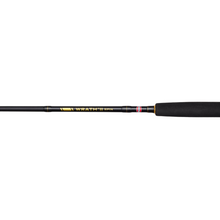 Load image into Gallery viewer, Penn 8ft/2.44m Wrath II 2 Section Spinning Rod (15-40g)
