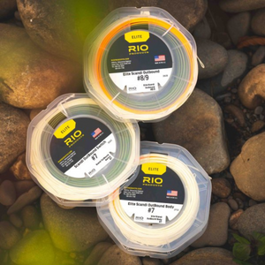 RIO Elite Scandi Outbound Switch Fly Line (#8/Floating/110ft)(Dark Green/Orange/Yellow)