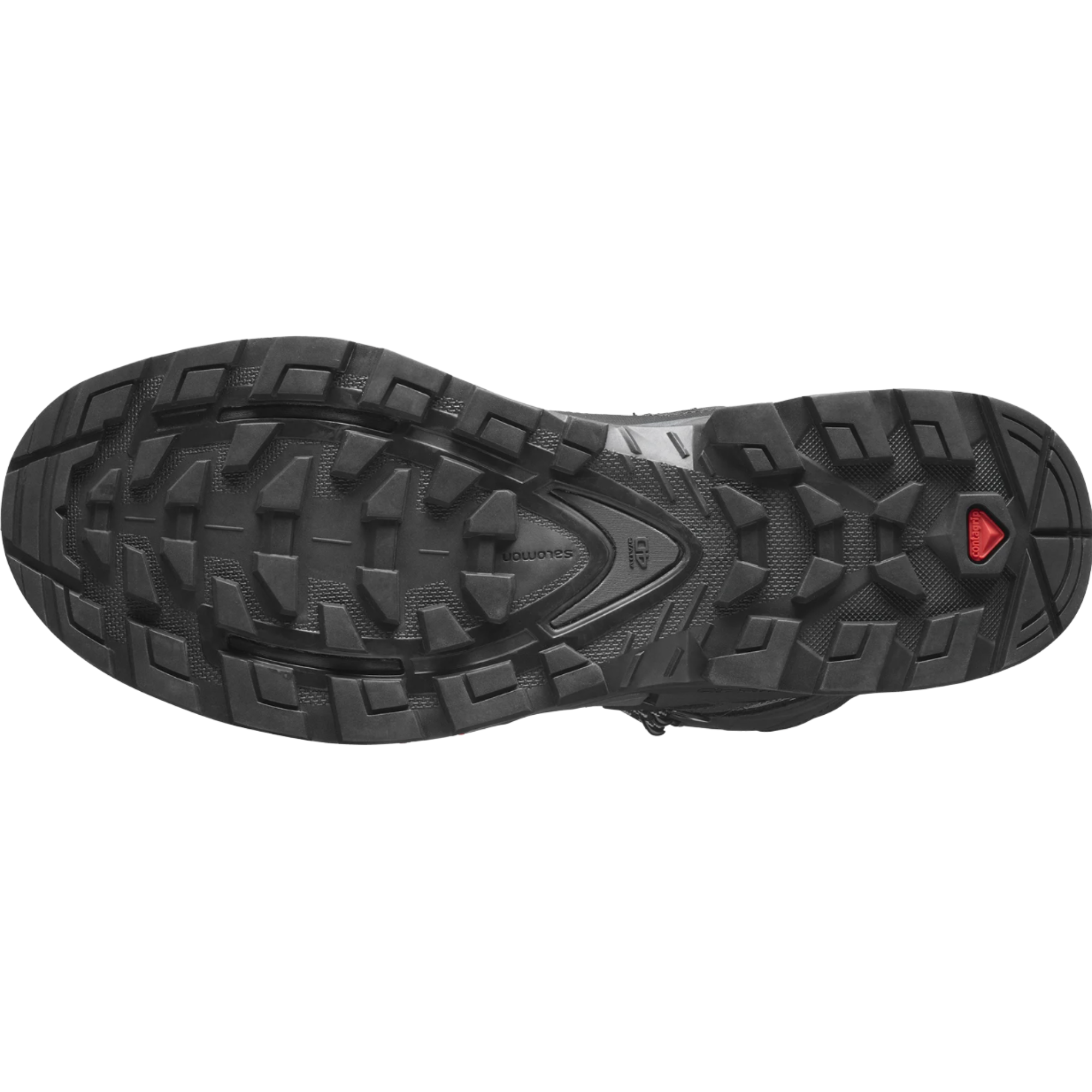 Salomon Men's Quest 4 Gore-Tex Hillwalking Boots (Magnet/Black/Quarry)