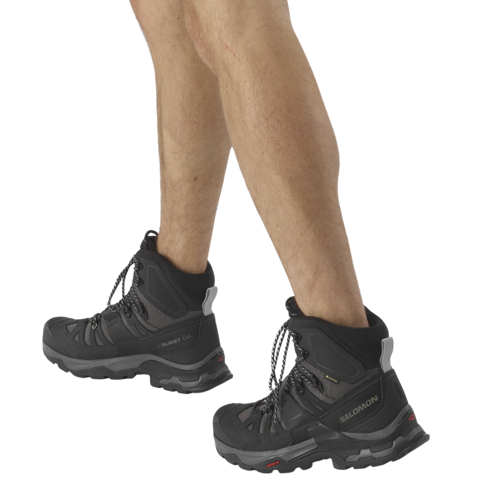 Salomon Men's Quest 4 Gore-Tex Hillwalking Boots (Magnet/Black/Quarry)