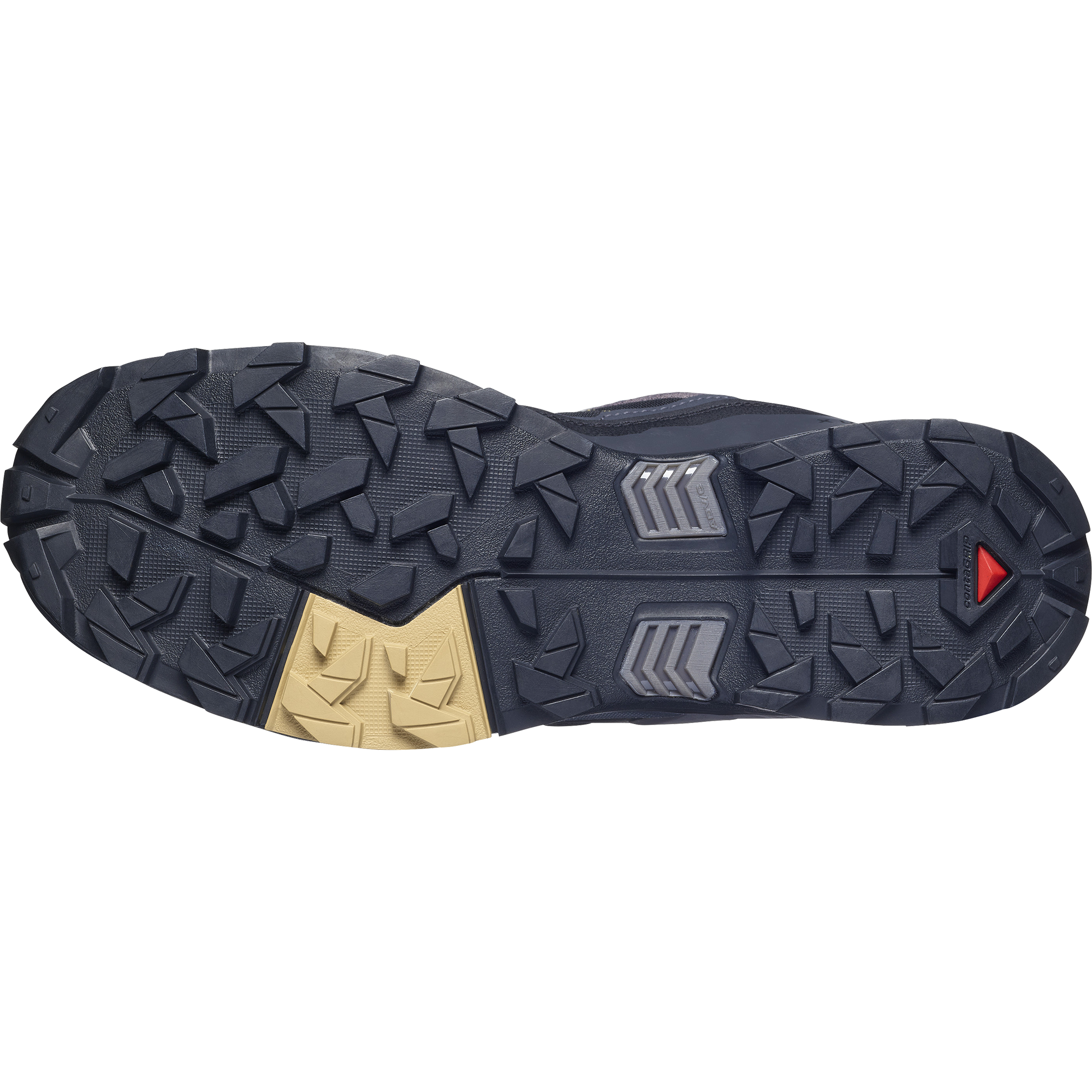 Salomon Men's X Ultra 5 Gore-Tex Trail Shoes (Dark Gull Gray/Asphalt)