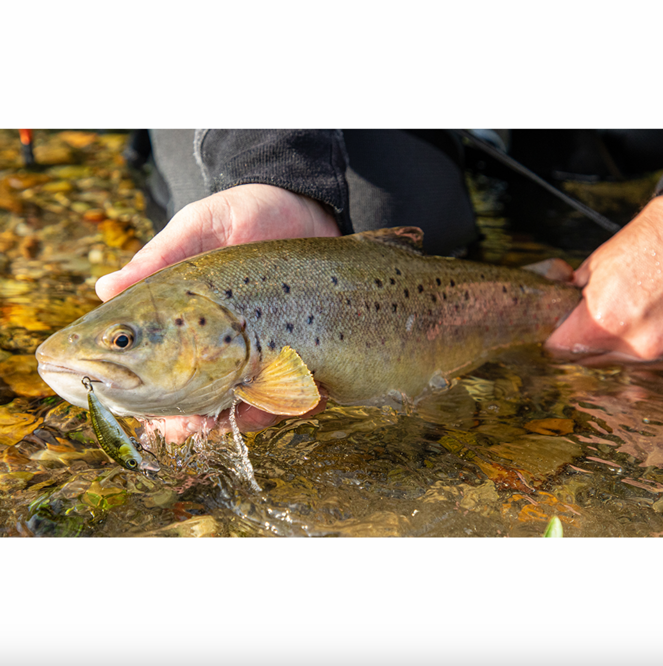 Savage Gear 3D Sticklebait Twitch Lure (6.5cm/Sinking/9.4g)(Brown Trout Smolt)