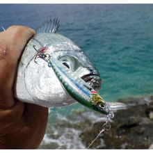 Load image into Gallery viewer, Savage Gear Gravity Minnow Wobbler (5cm/Sinking/4.3g)(Dark Magic)
