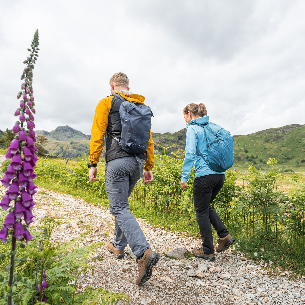 A man and a woman hiking on a gravel path in a mountainous outdoor setting under a cloudy sky, with a tall purple foxglove flower in the foreground. The man wears a yellow jacket, grey trousers, a dark blue backpack and Scarpa Men's Cyrus 2 Gore-Tex Trail Shoes Brown Black 63326-200. The woman wears a light blue jacket, black trousers, and a bright blue backpack.