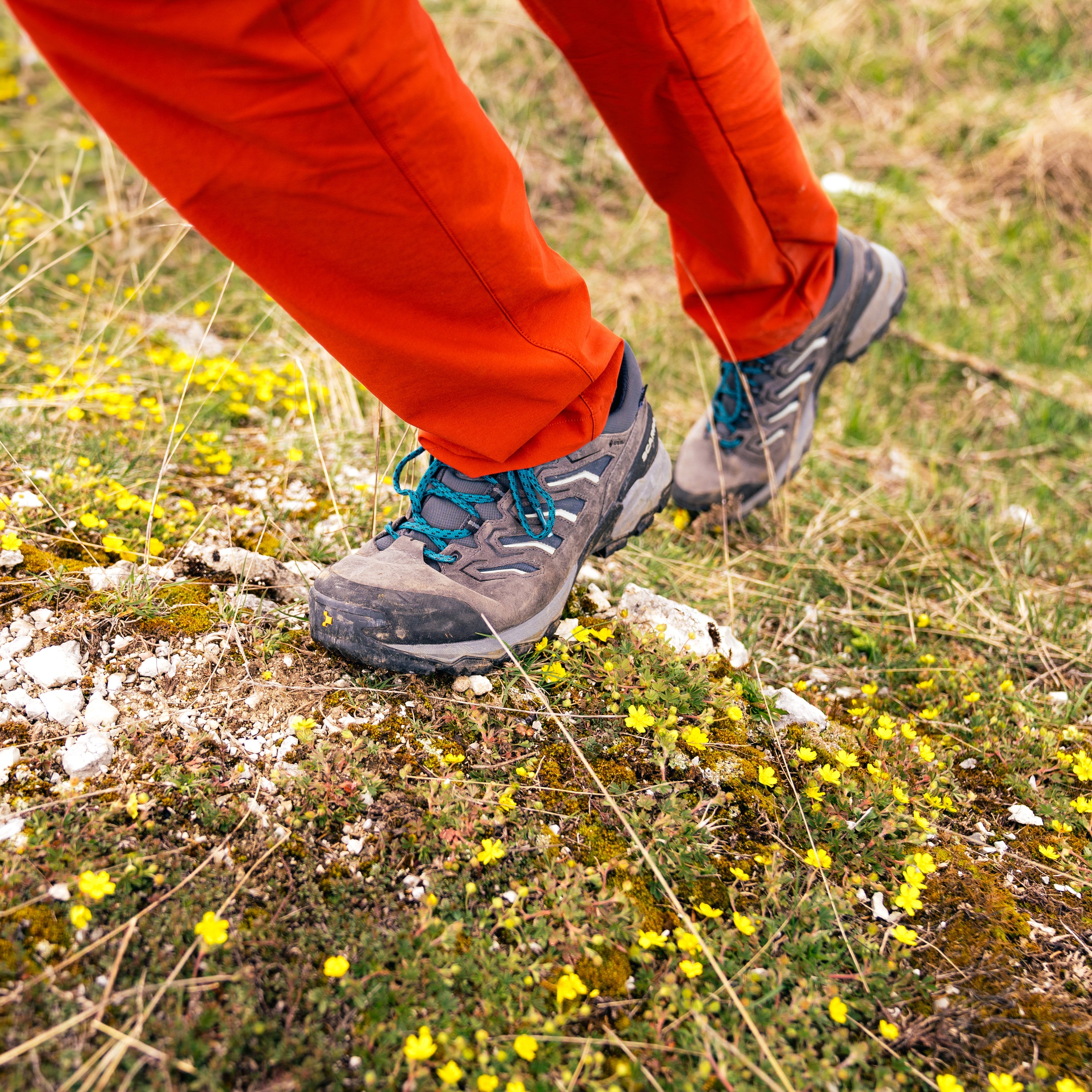 Person wearing Scarpa Men's Moraine Mid Gore-Tex Hillwalking Boots Anthracite 63056-201 walking in the grass