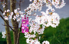 Load image into Gallery viewer, Sigg Kids Viva One Water Bottle (0.5L)(Hearts)
