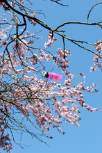 Load image into Gallery viewer, Sigg Kids Viva One Water Bottle (0.5L)(Hearts)
