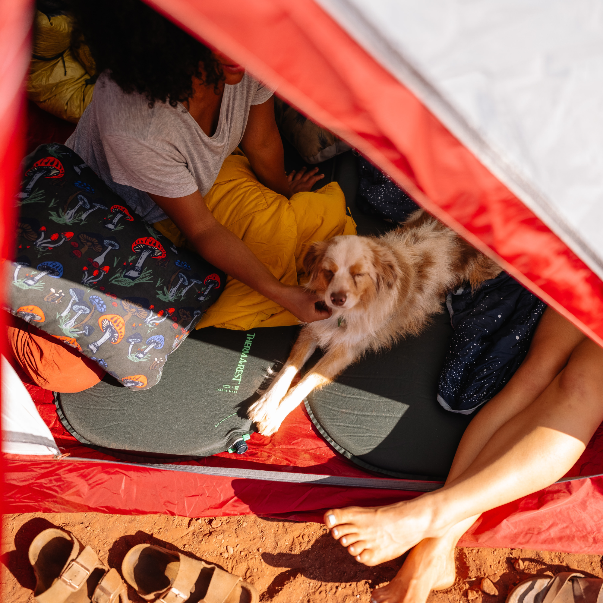 Thermarest Trail Scout Self-Inflating Sleep Mat (R-Value: 3.1)(Deep Forest)