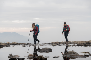 Trekmates Hiker Shock Single Pole (Black)