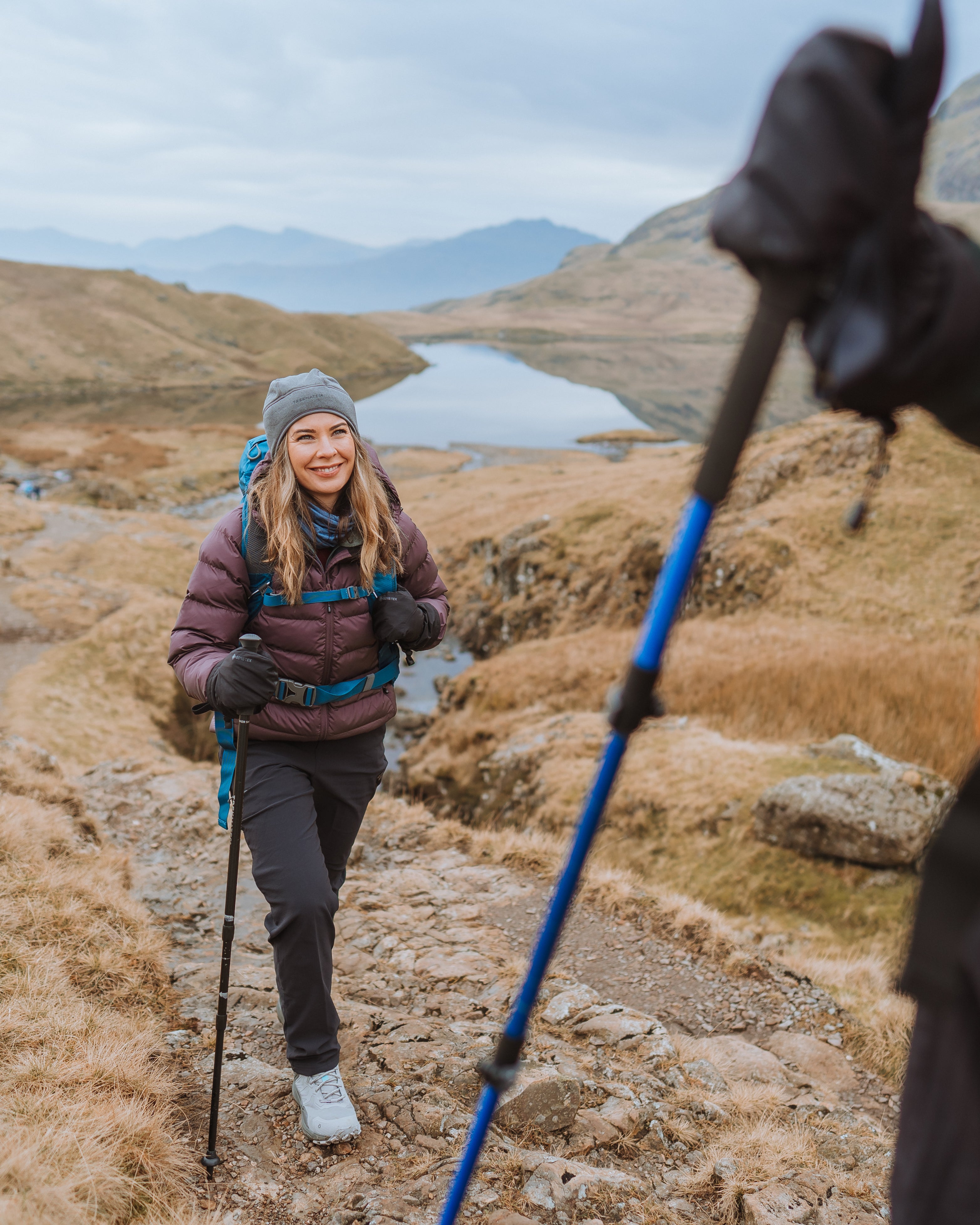 Trekmates Hiker Shock Single Pole (Black)
