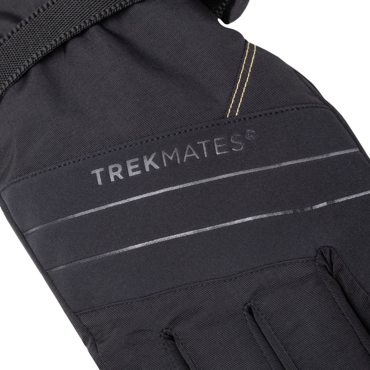 Trekmates Unisex Matterhorn Gore-Tex Insulated Gloves (Black)