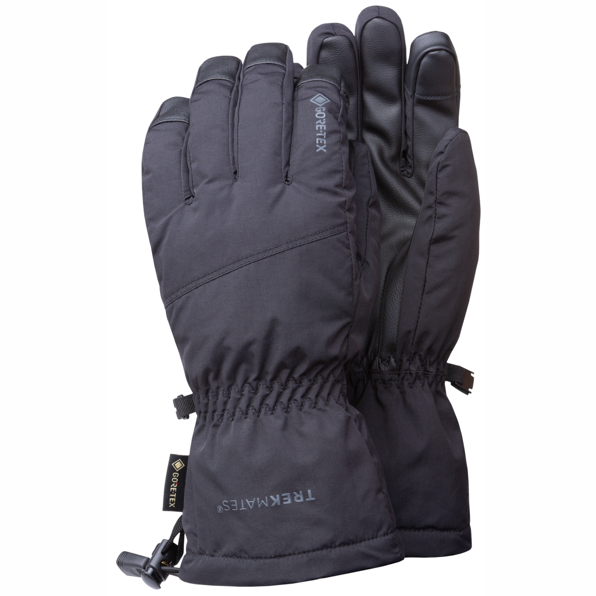 Trekmates Men's Chamonix Gore-Tex Insulated Gloves (Black)