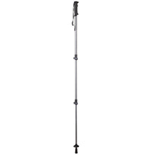 Load image into Gallery viewer, Trekmates Walker Lock Single Pole (Asphalt)
