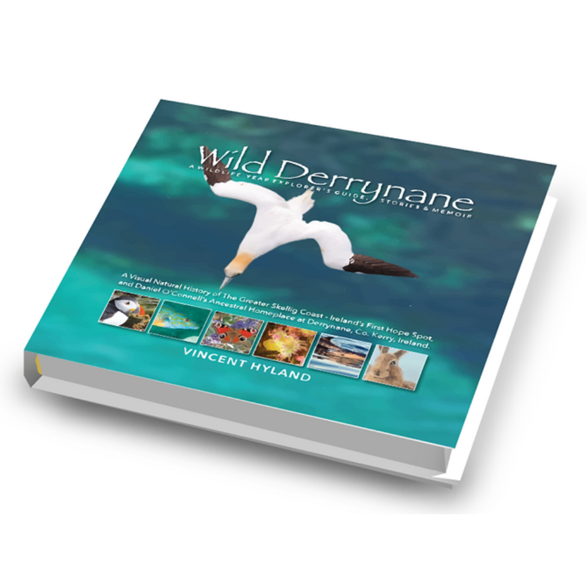 Vincent Hyland's Wild Derrynane Book - Updated Version (Hardback)