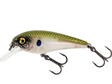 Load image into Gallery viewer, Westin BullyBite Crankbait Lure (6cm/Floating/9g)(Green Ghost)
