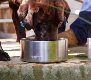 Yeti Boomer 4 Dog Bowl (Black)
