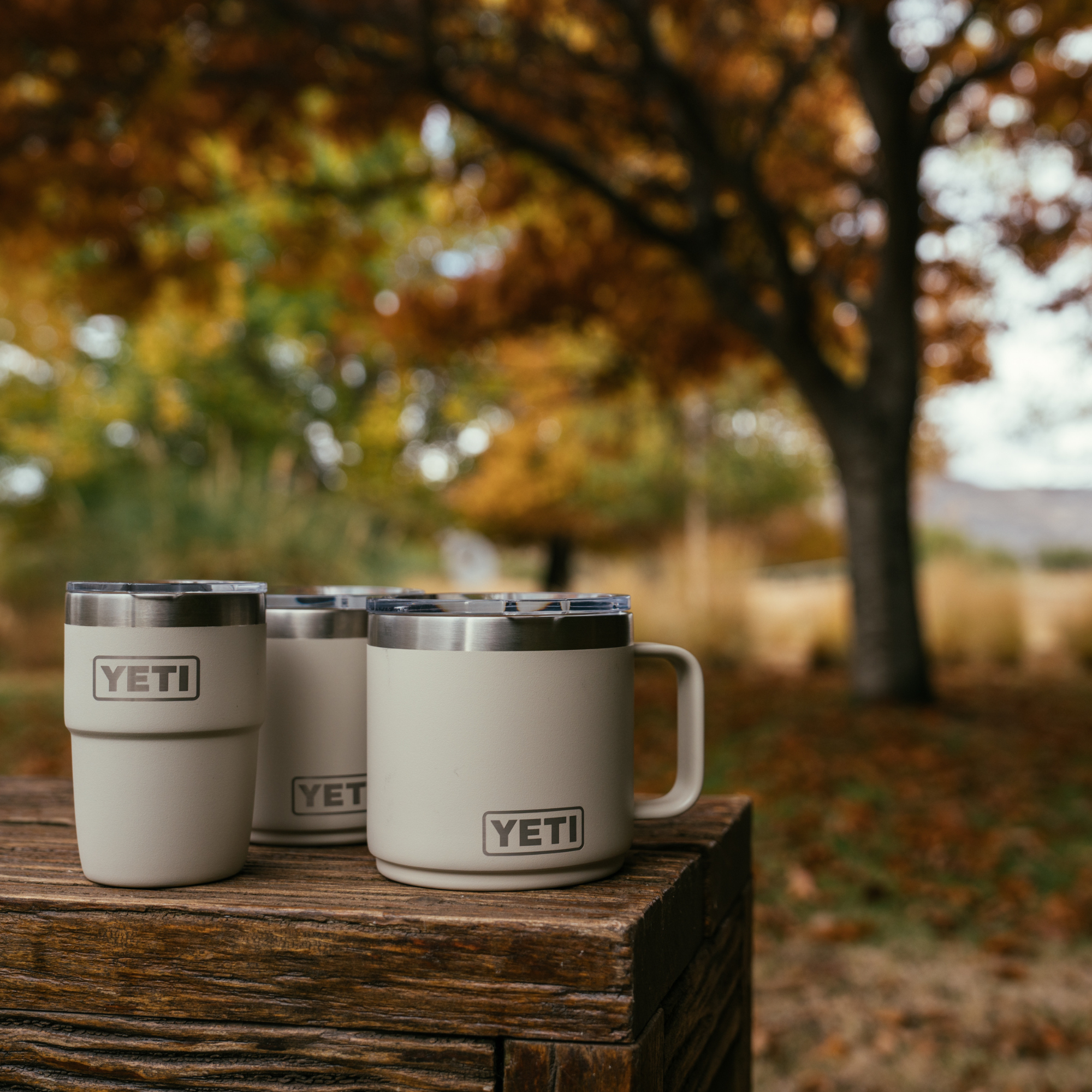 Three cream Cape Taupe Yeti travel mugs, arranged on a rustic wooden crate outdoors with a blurred autumn tree in the background.