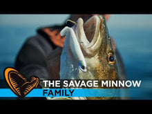 Load and play video in Gallery viewer, Savage Gear Minnow Weedless 2+1 Soft Lure (12.5cm/Sinking/28g)(Green/Silver)
