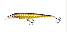 Load image into Gallery viewer, Berkley Hit Stick Lure (12cm/Floating13.5g)(Juvenile Pike)
