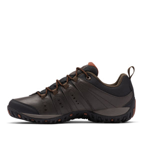 Columbia Men's Woodburn II Waterproof Trail Shoes (Cordovan Cinnamon)