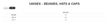 Load image into Gallery viewer, The North Face Unisex Dock Worker Recycled Beanie (Summit Navy)
