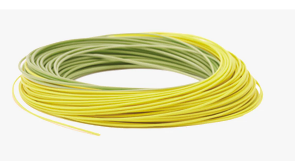 Rio Premier Gold WF5 Moss Line