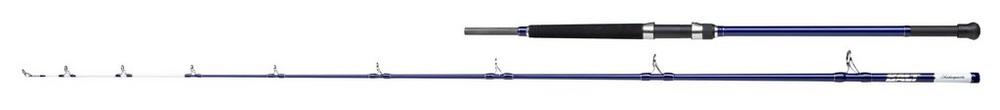 9' Shakespeare Salt Uptide Rod