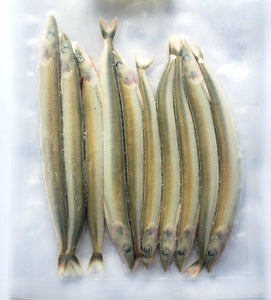Frozen Bait - Large Sandeels (COLLECTION ONLY)