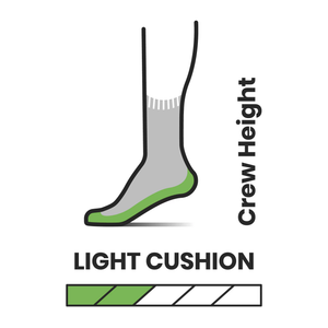 Smartwool Men's Performance Hike Light Cushion Merino Blend Crew Socks (Medium Grey)