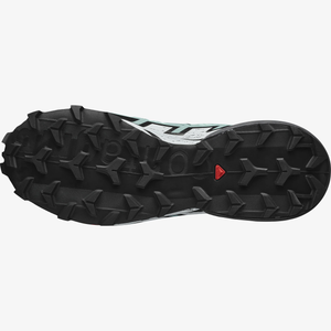 Salomon Women's Speedcross 6 Trail Running Shoes (Yucca/Ebony/White)