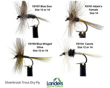 Load image into Gallery viewer, Silverbrook Trout Dry Fly (1 Fly)
