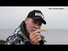 Load and play video in Gallery viewer, Savage Gear Sandeel Pencil 125 Lure 19g Matt White
