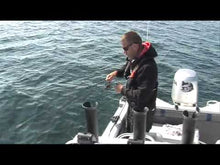 Load and play video in Gallery viewer, Savage Gear Saltwater Sandeel Real Pearl 12.5cm Lure
