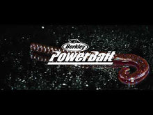 Load and play video in Gallery viewer, Berkley PowerBait Power Worms (Blue Fleck/Firetail)(18cm)(13 Pack)
